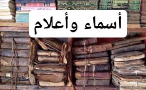 #أسماء_وأعلام:

الآن نبدأ في عرض قائمة الأسماء المتعلقة بالأعلام والشخصيات التي تمكنت من جردها وجمعها من مخطوطاتنا العتيقة، والتي وعدتكم بذكرها من أجل تناولها هنا لعلي أستفيد من السادة الباحثين بمعلومات حولها، وذلك بشكل متفاوت:

1 - محمد بن اعمر.
2 - محمد بن اعل بن المختار بن محمد.
3 - البشير بن الحاج الهادي.
4 - محمد المصطفى بن عمر بن دحان الولاتي.
5 - محمد الامين بن محمد بن الامام بن محمد بن اعل بن المختار.
6 - عبد الرحمن بن محمد الامين بن الطالب سيد احمد.
من صفحة أ محمد المصطفى 